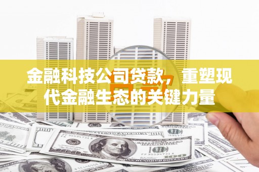 泸水金融科技公司贷款，重塑现代金融生态的关键力量