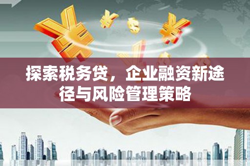 泸水探索税务贷，企业融资新途径与风险管理策略