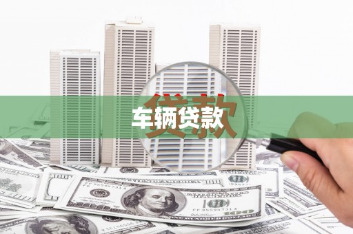 泸水车辆贷款