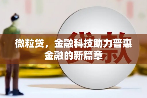 泸水微粒贷，金融科技助力普惠金融的新篇章
