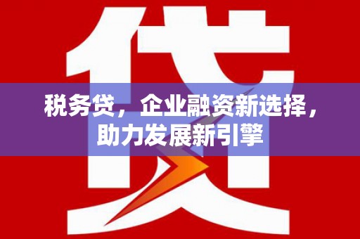 泸水税务贷，企业融资新选择，助力发展新引擎
