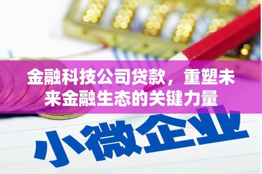 泸水金融科技公司贷款，重塑未来金融生态的关键力量