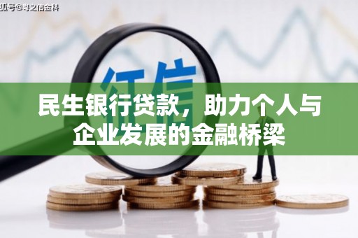 泸水民生银行贷款，助力个人与企业发展的金融桥梁