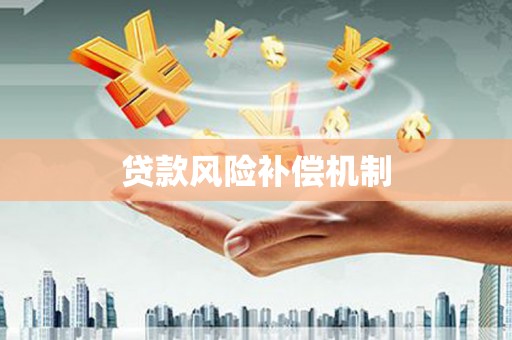 泸水贷款风险补偿机制
