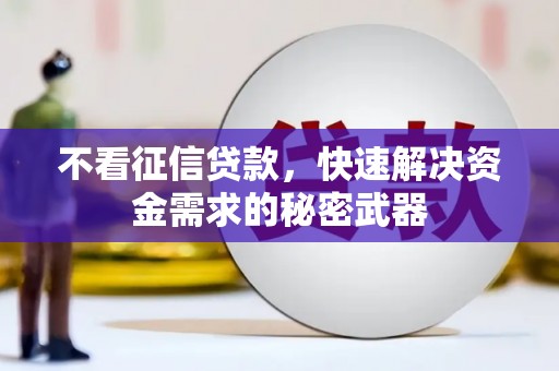泸水不看征信贷款，快速解决资金需求的秘密武器