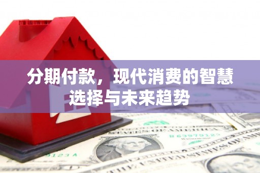 泸水分期付款，现代消费的智慧选择与未来趋势
