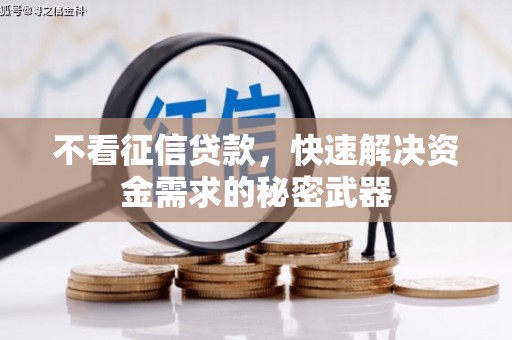 泸水不看征信贷款，快速解决资金需求的秘密武器
