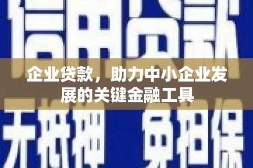 泸水企业贷款，助力中小企业发展的关键金融工具