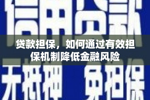 泸水贷款担保，如何通过有效担保机制降低金融风险