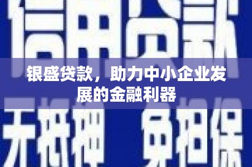 泸水银盛贷款，助力中小企业发展的金融利器