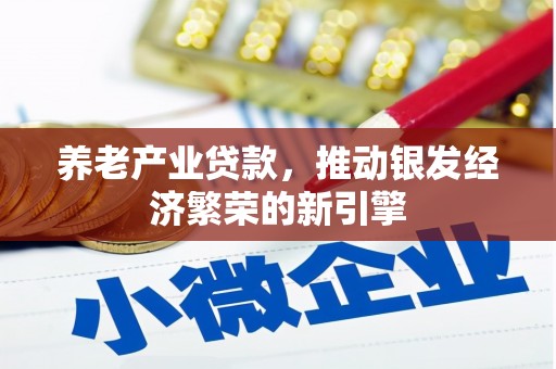 泸水养老产业贷款，推动银发经济繁荣的新引擎