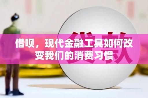 泸水借呗，现代金融工具如何改变我们的消费习惯