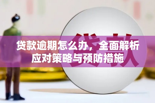 泸水贷款逾期怎么办，全面解析应对策略与预防措施