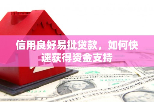 泸水信用良好易批贷款，如何快速获得资金支持