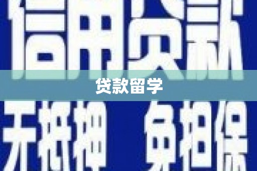 泸水贷款留学