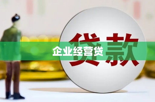 泸水企业经营贷
