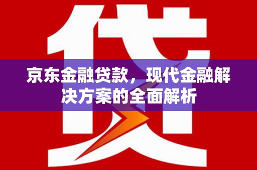 泸水京东金融贷款，现代金融解决方案的全面解析