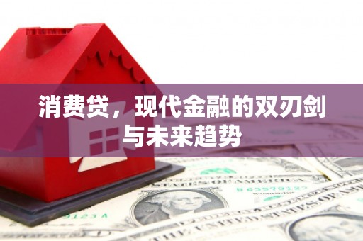 泸水消费贷，现代金融的双刃剑与未来趋势