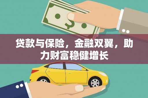 泸水贷款与保险，金融双翼，助力财富稳健增长