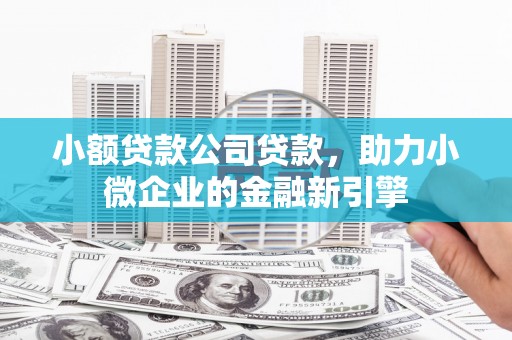泸水小额贷款公司贷款，助力小微企业的金融新引擎