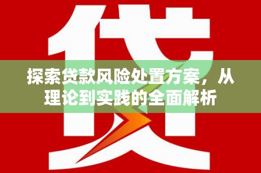 泸水探索贷款风险处置方案，从理论到实践的全面解析