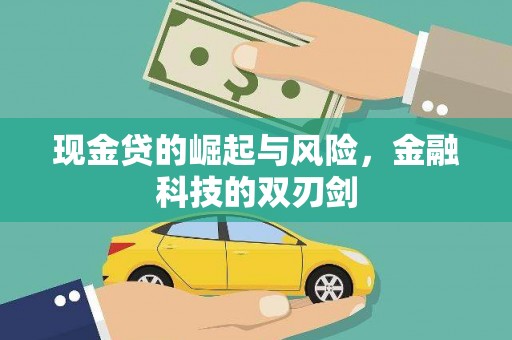 泸水现金贷的崛起与风险，金融科技的双刃剑