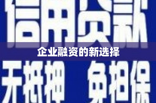 泸水企业融资的新选择
