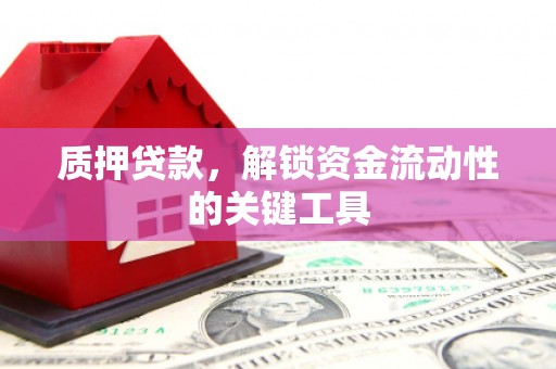 泸水质押贷款，解锁资金流动性的关键工具
