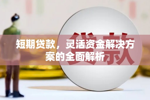 泸水短期贷款，灵活资金解决方案的全面解析