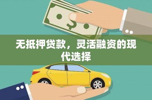 泸水无抵押贷款，灵活融资的现代选择