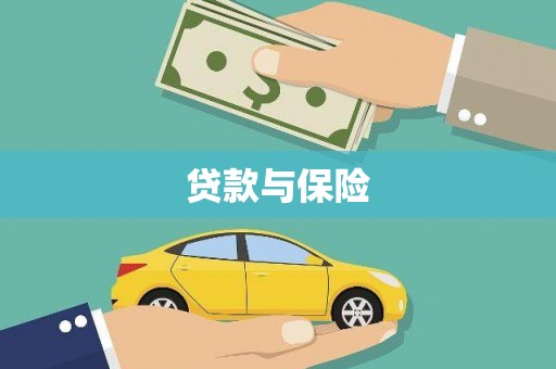 泸水贷款与保险