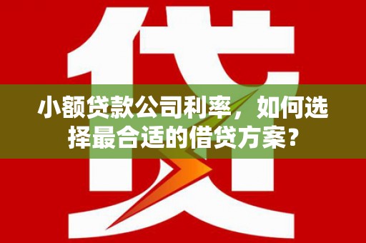 泸水小额贷款公司利率，如何选择最合适的借贷方案？
