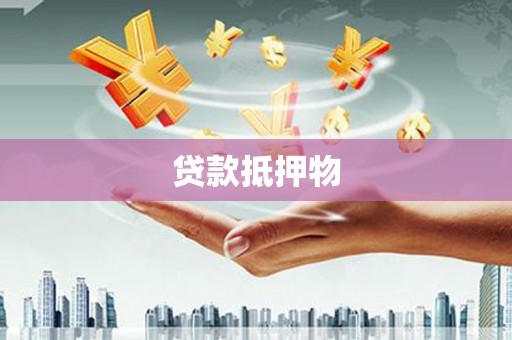 泸水贷款抵押物