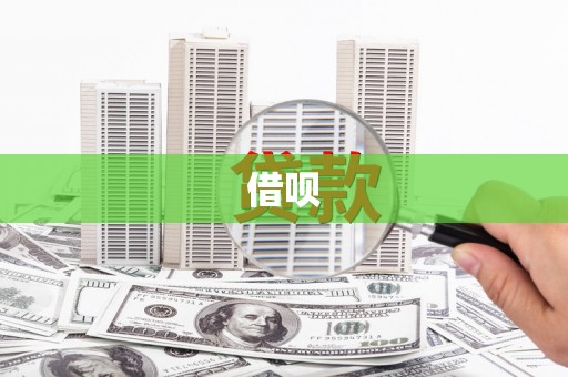 泸水借呗