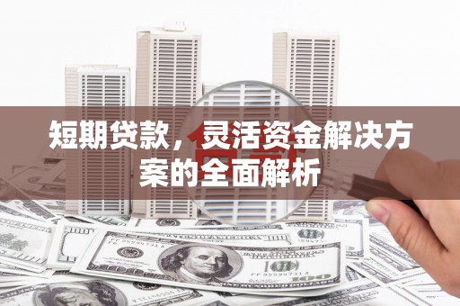 泸水短期贷款，灵活资金解决方案的全面解析