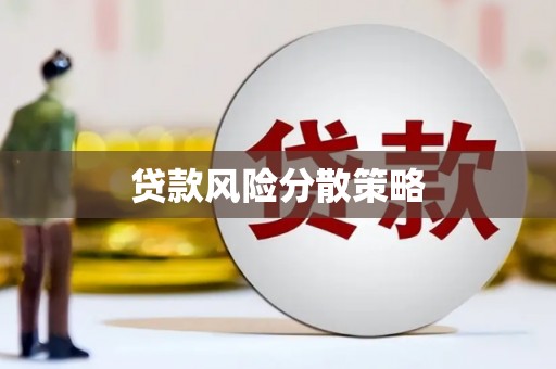 泸水贷款风险分散策略