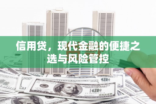 泸水信用贷，现代金融的便捷之选与风险管控