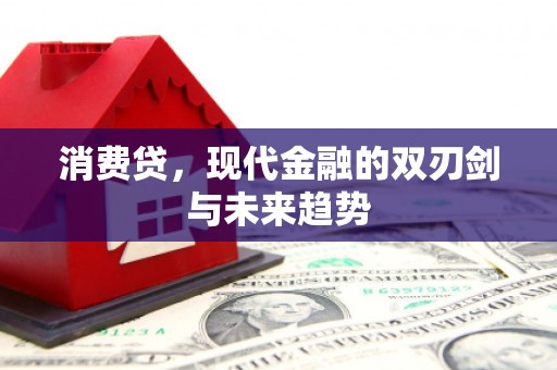 泸水消费贷，现代金融的双刃剑与未来趋势
