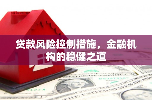 泸水贷款风险控制措施，金融机构的稳健之道