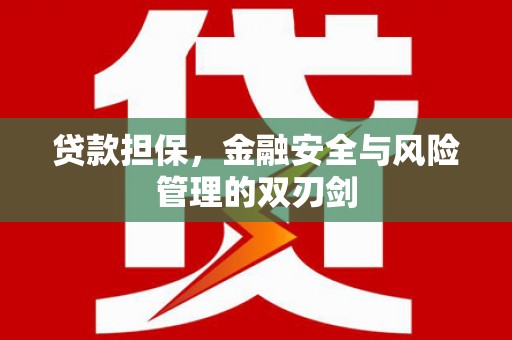 泸水贷款担保，金融安全与风险管理的双刃剑