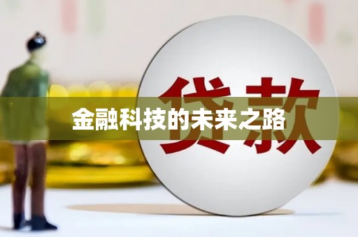 泸水金融科技的未来之路