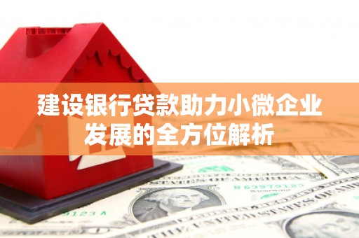 泸水建设银行贷款助力小微企业发展的全方位解析