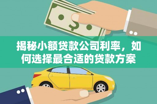 泸水揭秘小额贷款公司利率，如何选择最合适的贷款方案