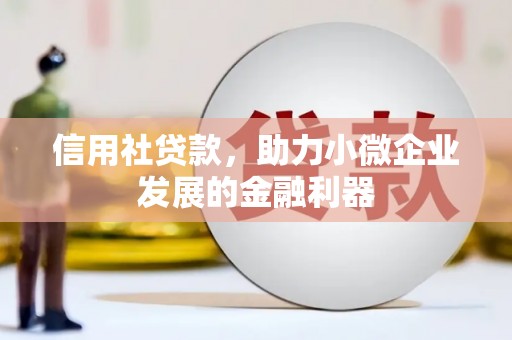 泸水信用社贷款，助力小微企业发展的金融利器
