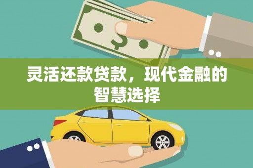 泸水灵活还款贷款，现代金融的智慧选择