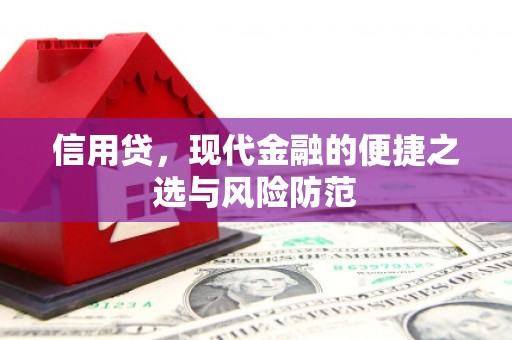 泸水信用贷，现代金融的便捷之选与风险防范