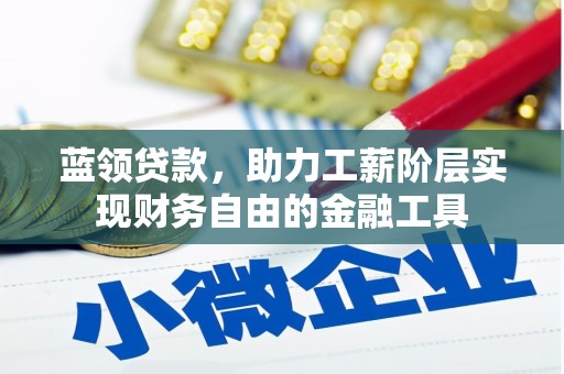 泸水蓝领贷款，助力工薪阶层实现财务自由的金融工具
