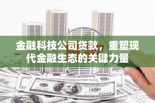 泸水金融科技公司贷款，重塑现代金融生态的关键力量