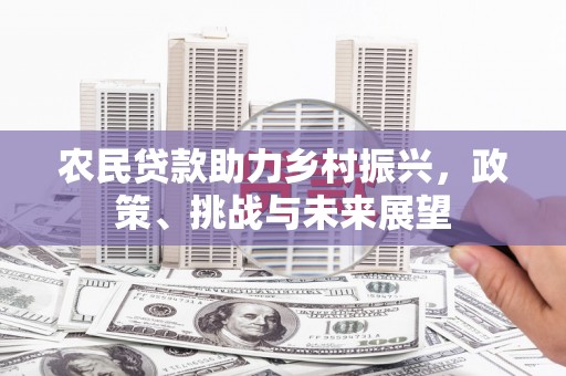泸水农民贷款助力乡村振兴，政策、挑战与未来展望