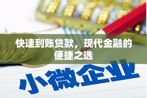 泸水快速到账贷款，现代金融的便捷之选